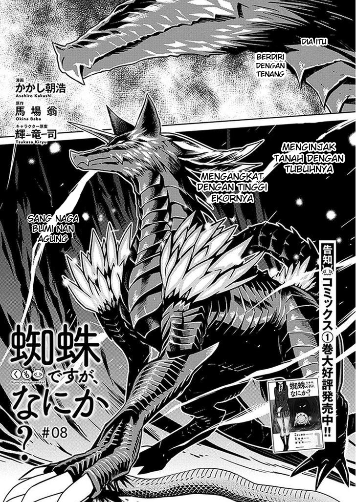 Kumo desu ga, Nani Ka? Chapter 08